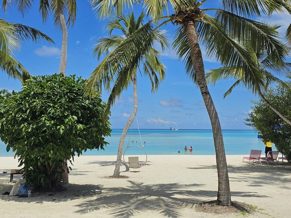 Quels sont les secrets pour une navigation réussie sur les canaux d'Amsterdam, Pays-Bas : itinéraires et conseils ?